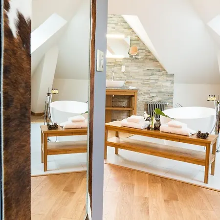 Hotel Spa Marotte 4*